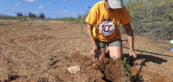 Verbeteren herbebossing bij Lac - Fofoti