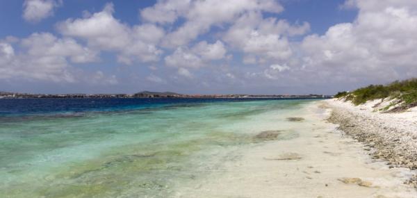 Limpiesa i muha mata na Klein Bonaire