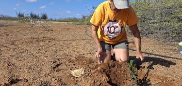 Verbeteren herbebossing bij Lac - Fofoti