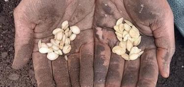 Rais di Boneiru: Kolekta Simia, Preserva Herensia