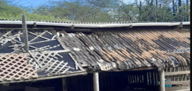 Dak vernieuwen bij de varkens en biggen