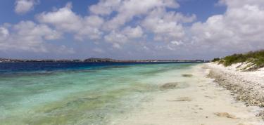 Limpiesa i muha mata na Klein Bonaire