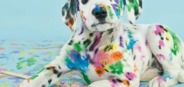 Help ons met een frisse uitstraling